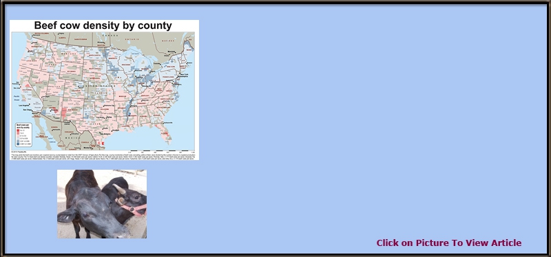 Slide 19  A tale of two cows: Why we have a cow map and not a healthcare acquired infection map
